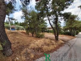 Φιλοθέη, Άνω Φιλοθέη, διατίθεται προς πώληση, γωνιακό οικόπεδο, σε εξαιρετικό σημείο Φιλοθέη, Άνω Φιλοθέη, διατίθεται προς πώληση, γωνιακό οικόπεδο, σε εξαιρετικό σημείο