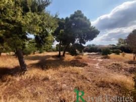 Νότια προάστια, Ελληνικό, Ολυμπιακές Εγκαταστάσεις, διατίθεται προς πώληση, αξίολογο οικόπεδο Νότια προάστια, Ελληνικό, Ολυμπιακές Εγκαταστάσεις, διατίθεται προς πώληση, αξίολογο οικόπεδο