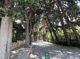 Παλαιό Ψυχικό, πλησίον 1ης πλατείας, άριστο όροφο διαμέρισμα προς ενοικίαση, εξαιρετικό σημείο Παλαιό Ψυχικό, πλησίον 1ης πλατείας, άριστο όροφο διαμέρισμα προς ενοικίαση, εξαιρετικό σημείο