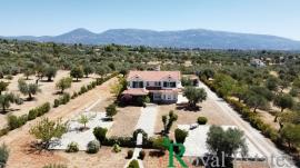 Εξαιρετική μονοκατοικία προς πώληση, στην Εύβοια, περιοχή Άγιοι Ασώματοι, Ερέτρια