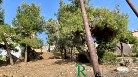 Διόνυσος, σύνορα με Εκάλη, αμφιθεατρικό οικόπεδο προς πώληση Διόνυσος, σύνορα με Εκάλη, αμφιθεατρικό οικόπεδο προς πώληση