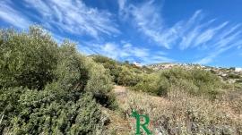 Μαραθώνας, Σχοινιάς, Δικαστικά, οικόπεδο προς πώληση, κοντά στην θάλασσα Μαραθώνας, Σχοινιάς, Δικαστικά, οικόπεδο προς πώληση, κοντά στην θάλασσα