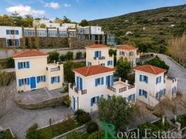 Κυκλάδες, Άνδρος – Μένητες | Επενδυτικό Συγκρότημα 5 Κατοικιών, προς πώληση, με Θέα Θάλασσα Κυκλάδες, Άνδρος – Μένητες | Επενδυτικό Συγκρότημα 5 Κατοικιών, προς πώληση, με Θέα Θάλασσα