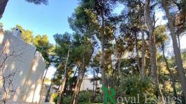 Βόρεια Προάστια, Δροσιά, σε εξαιρετικό σημείο της περιοχής, διατίθεται προς πώληση οικόπεδο Βόρεια Προάστια, Δροσιά, σε εξαιρετικό σημείο της περιοχής, διατίθεται προς πώληση οικόπεδο