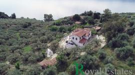 Παραθαλάσσιο μοναδικό κτήμα με μονοκατοικία, μπροστά στην θάλασσα, διατίθεται προς πώληση στην περιοχή Γλύφα, Νομός Φθιώτιδας, Στερεά Ελλάδα Παραθαλάσσιο μοναδικό κτήμα με μονοκατοικία, μπροστά στην θάλασσα, διατίθεται προς πώληση στην περιοχή Γλύφα, Νομός Φθιώτιδας, Στερεά Ελλάδα