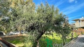 Κηφισιά, Νέα Κηφισιά, πλησίον πλατείας Ελαιών, γωνιακό οικόπεδο, προς πώληση Κηφισιά, Νέα Κηφισιά, πλησίον πλατείας Ελαιών, γωνιακό οικόπεδο, προς πώληση