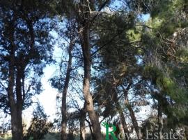 Παλαιό Ψυχικό, Άγιος Δημήτριος, μονοκατοικία, προς πώληση