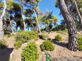 Εκάλη, γωνιακό οικόπεδο, διατίθεται προς πώληση