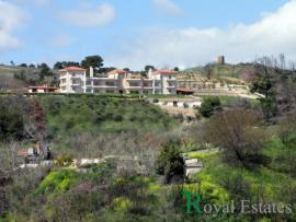 For sale unique land with unfinished house in Afidnes